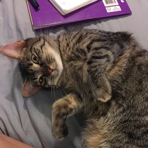 Meet your Posher, Tiffany